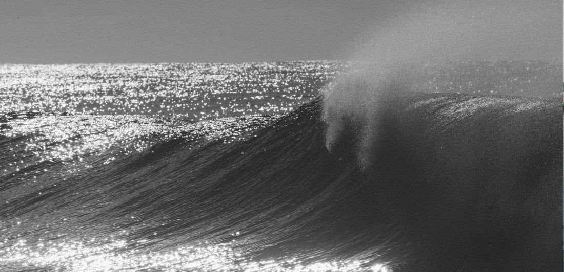 New Technologies That Could Help Save Our Precious Ocean