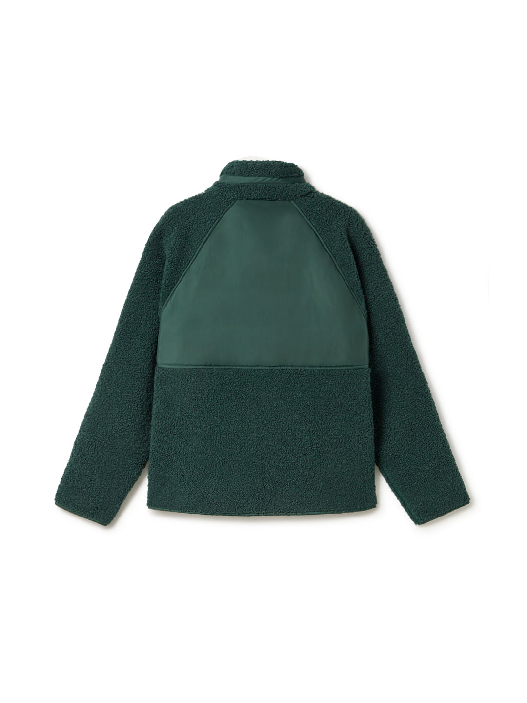 Shark - Dark Green