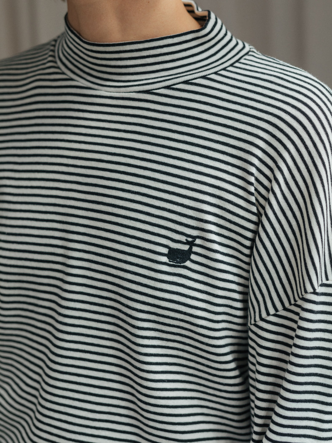 Corcovado - Black and White Stripes