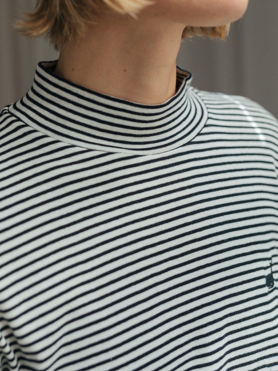 Corcovado - Black and White Stripes