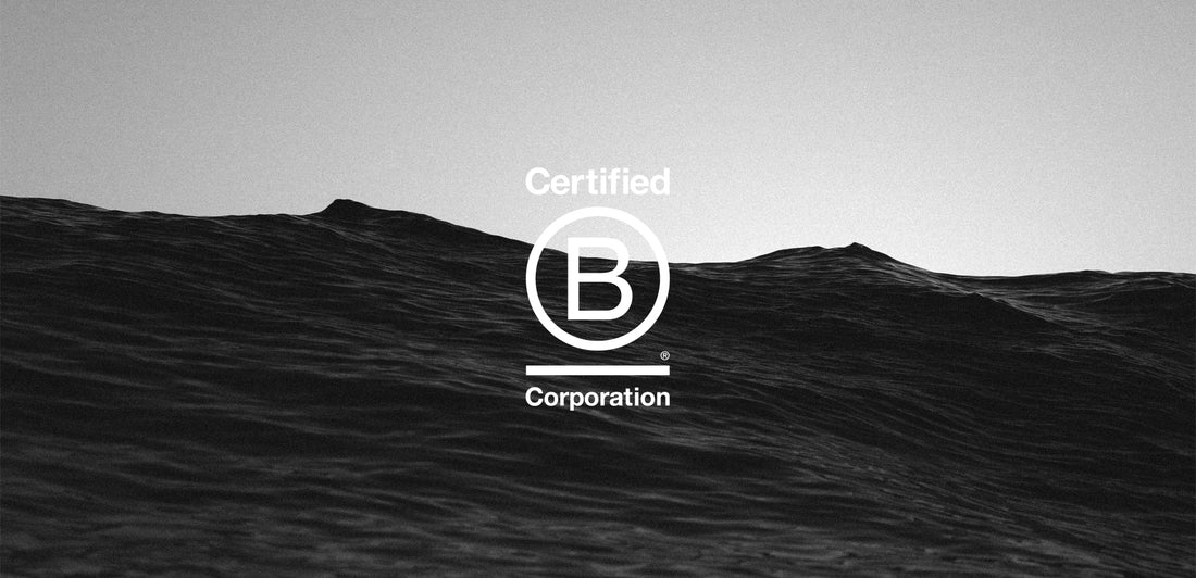 How B Corp™ Certification Reflects TWOTHIRDS’ Core Values