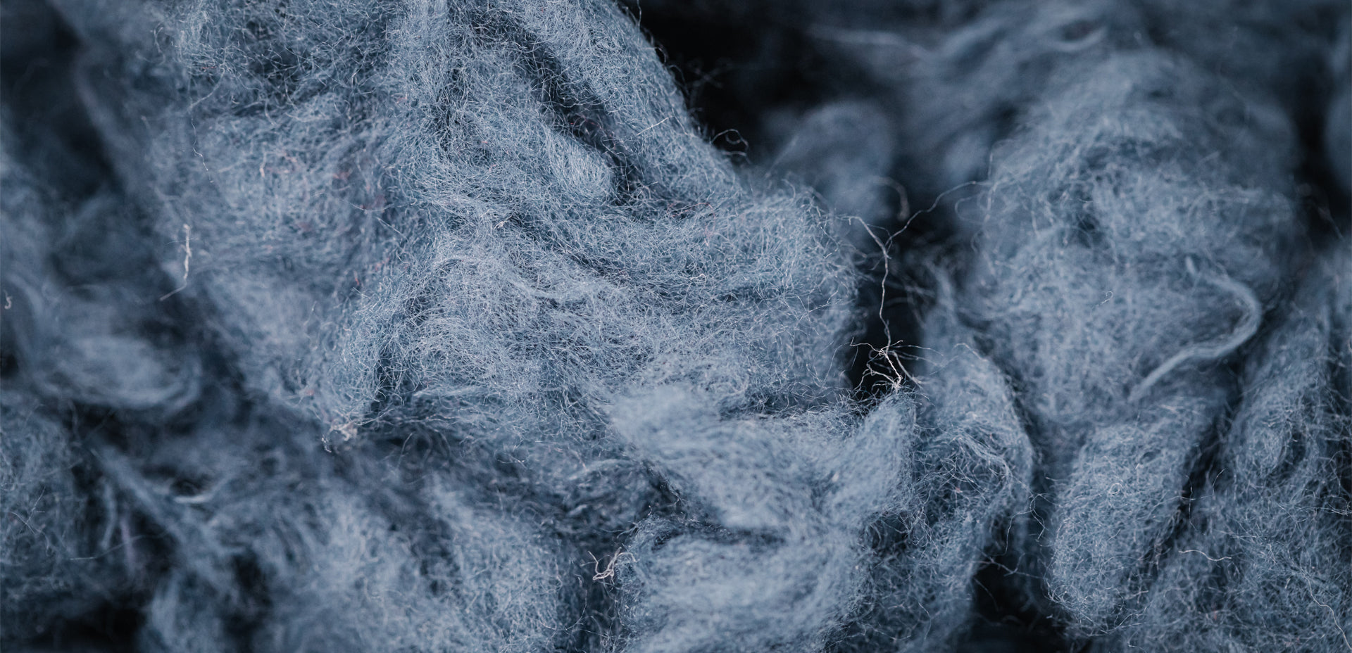 The Ecological Effects of Cotton Versus Recycled Polyester - Oceanness