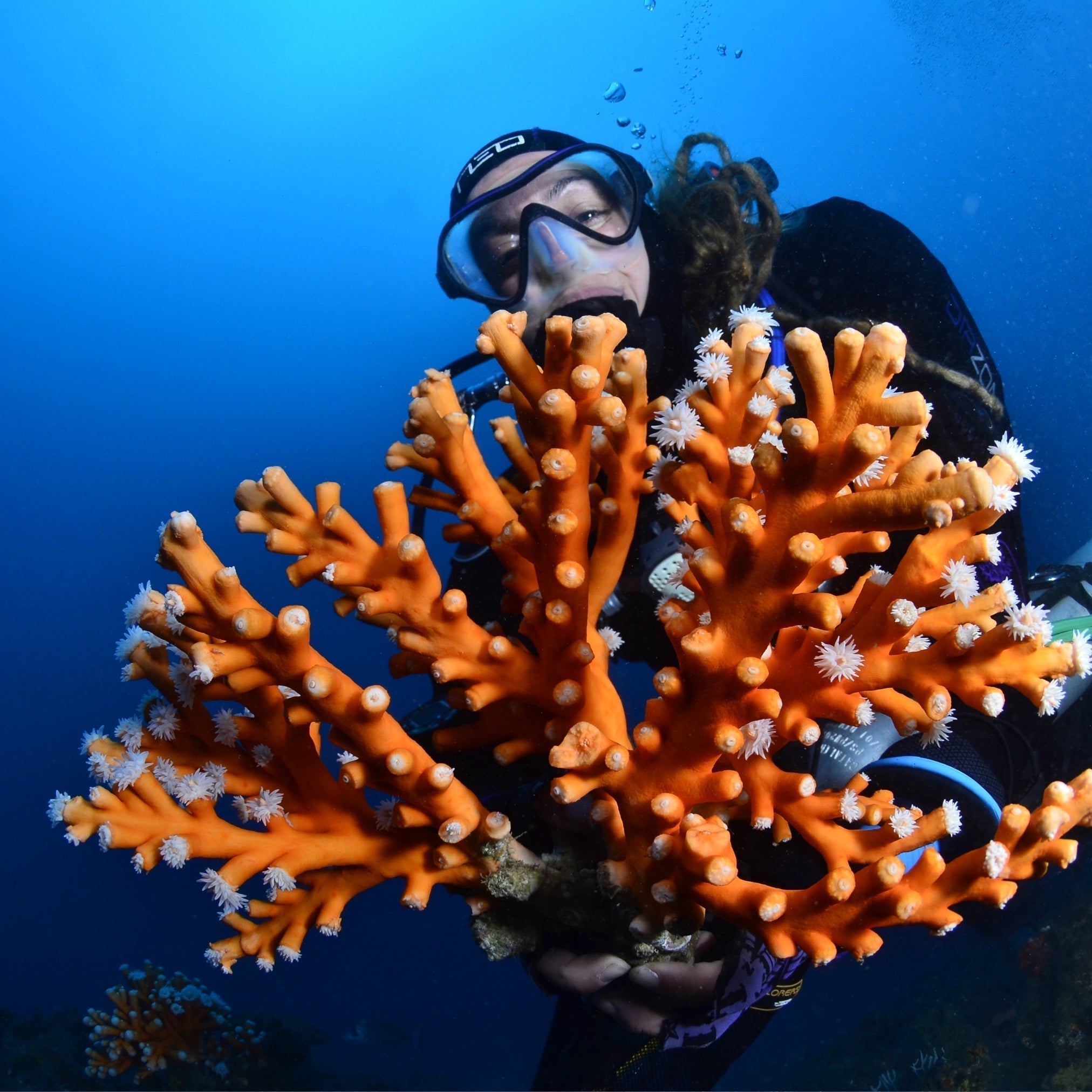 TWOTHIRDS x Coral Guardian