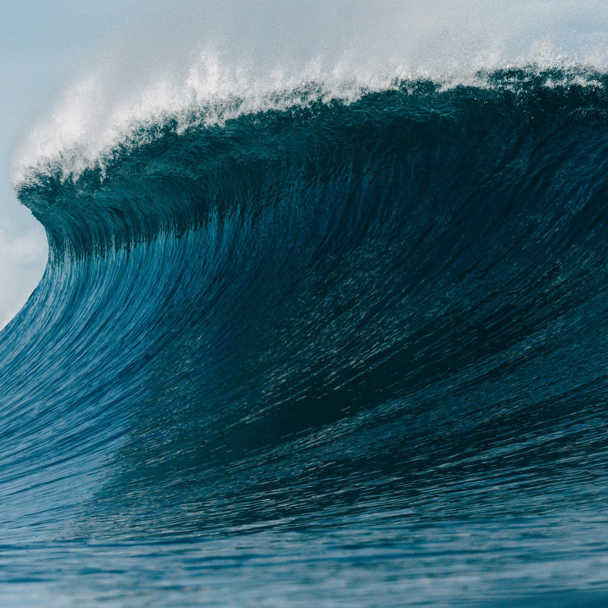 Hold the Ocean: TWOTHIRDS x Surfrider