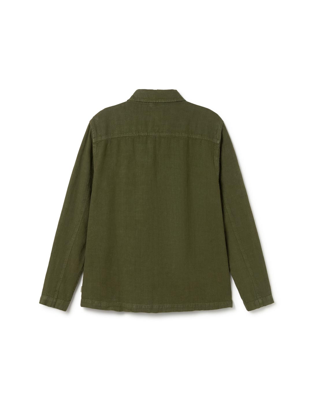 Armier - Codium Green