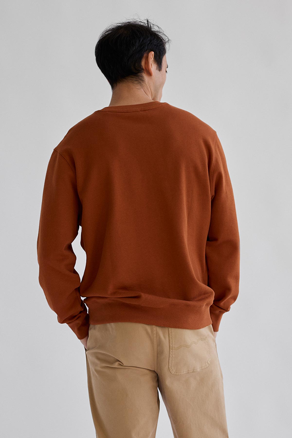 regular fit vegan toffee sweatshirt