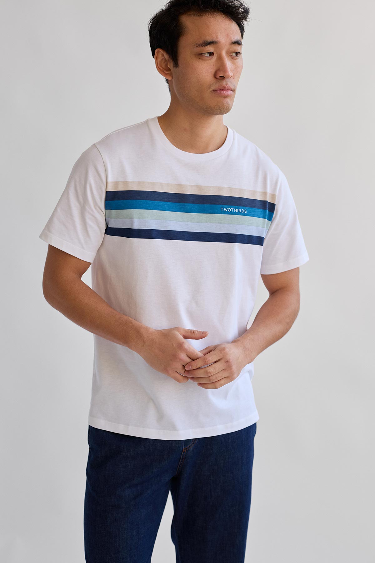 organic cotton basic tee with stripes for men