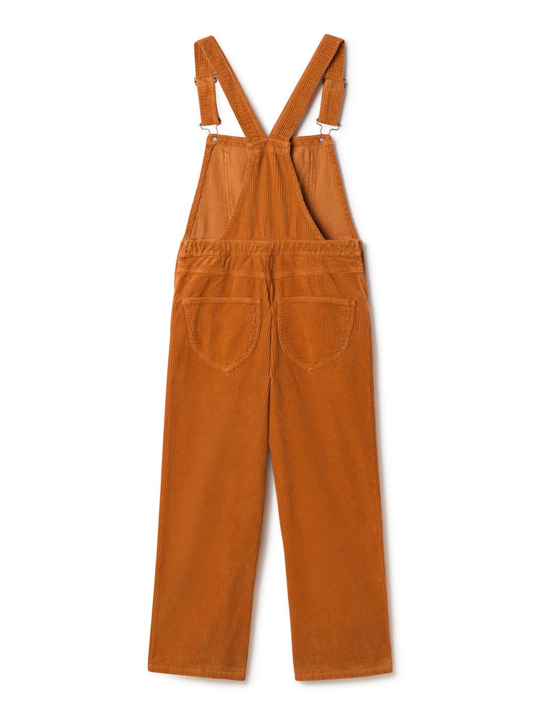 Correa - Carrot Orange