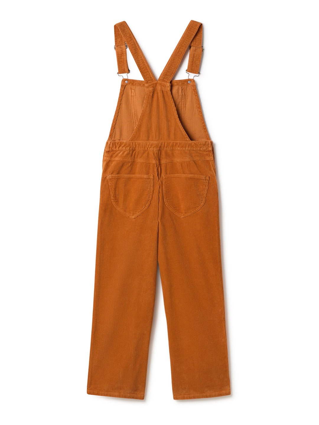 Correa - Carrot Orange