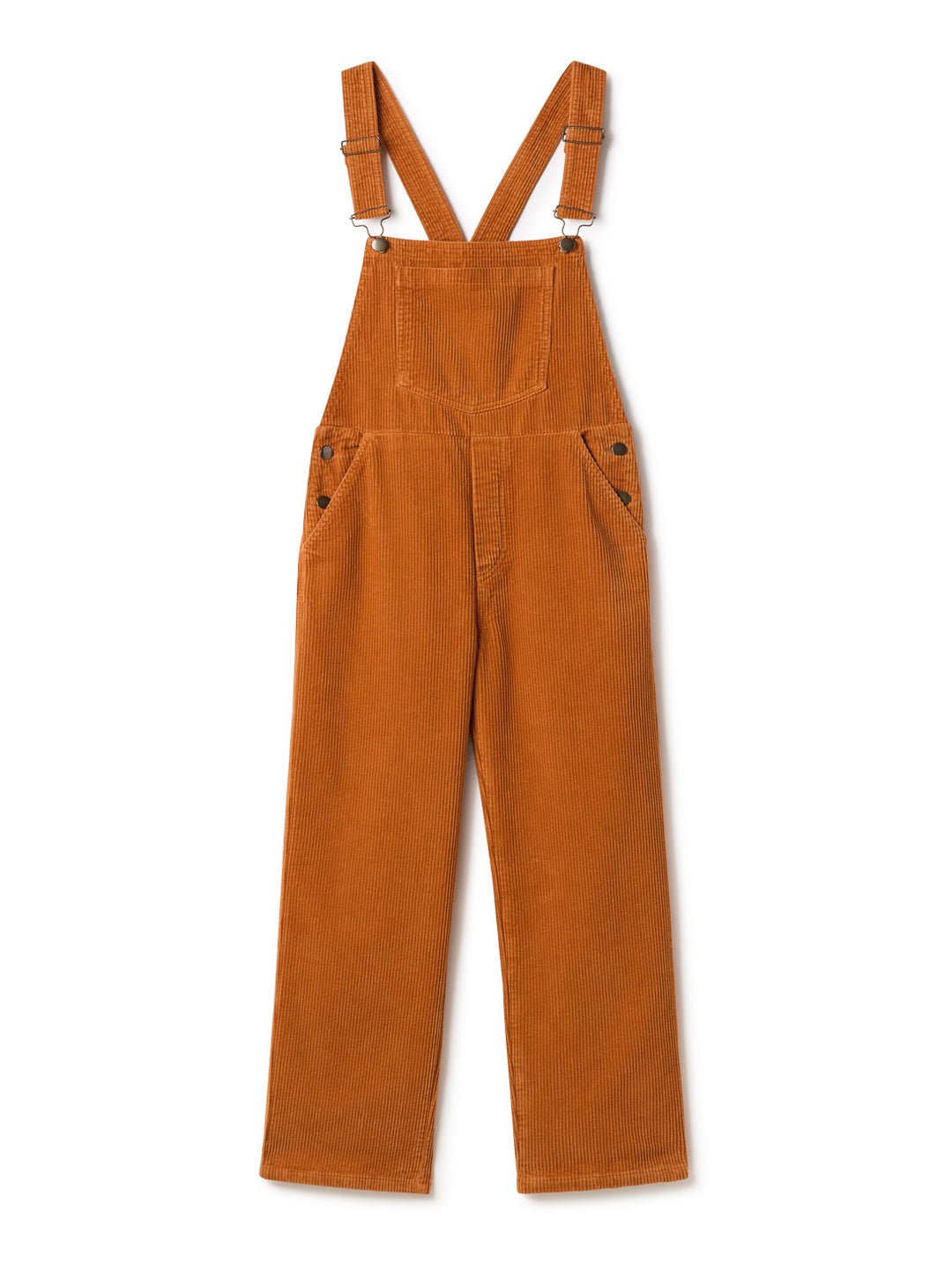 Correa - Carrot Orange